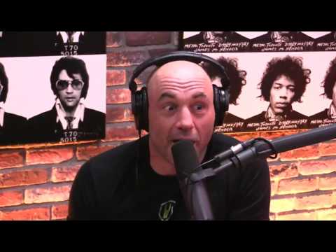 Joe rogan and Bill Burr talk about the fall of Katherine Heigl