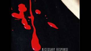 Necessary Response - Devotion
