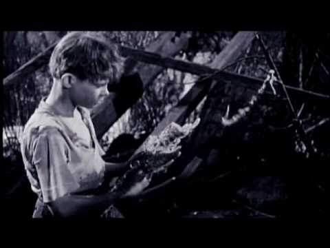 Mary Lou 歌 毛皮のマリーズ 作詞 作曲 志磨遼平 Chordwiki コード譜共有サイト