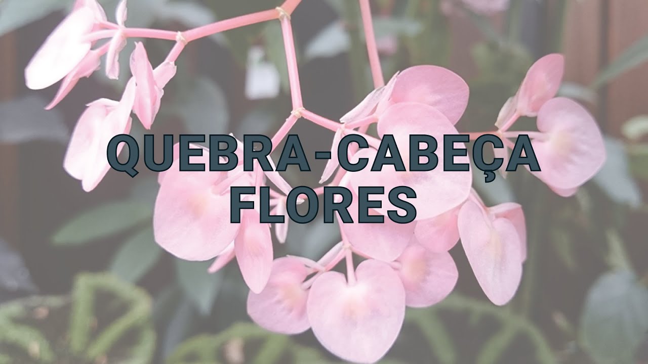 Watch Now Quebra-Cabeça: Flores Quebra-Cabeça: Flores