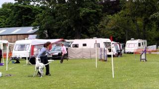 preview picture of video 'Mandy,Kia,Sue & Wilma H&H Agility show 2011'