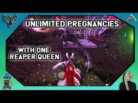 UNLIMITED PREGNANCIES WITH 1 REAPER QUEEN : HOW TO BUILD THE TRAP Ark Survival Evolved