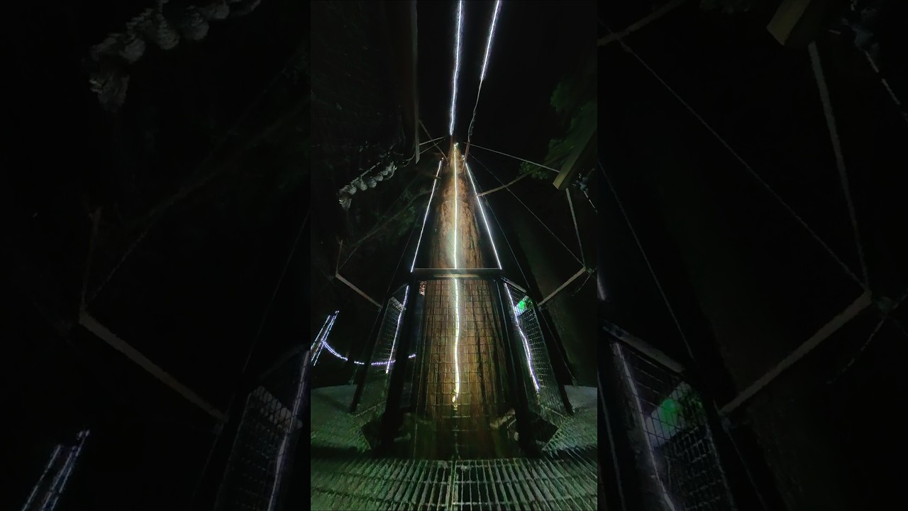 YouTube Short thumbnail