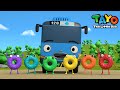No No I M Special Donuts L Learn Colors Song For Kids L Tayo Color Song L Tayo The Little Bus