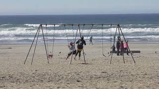 Beach Swingers