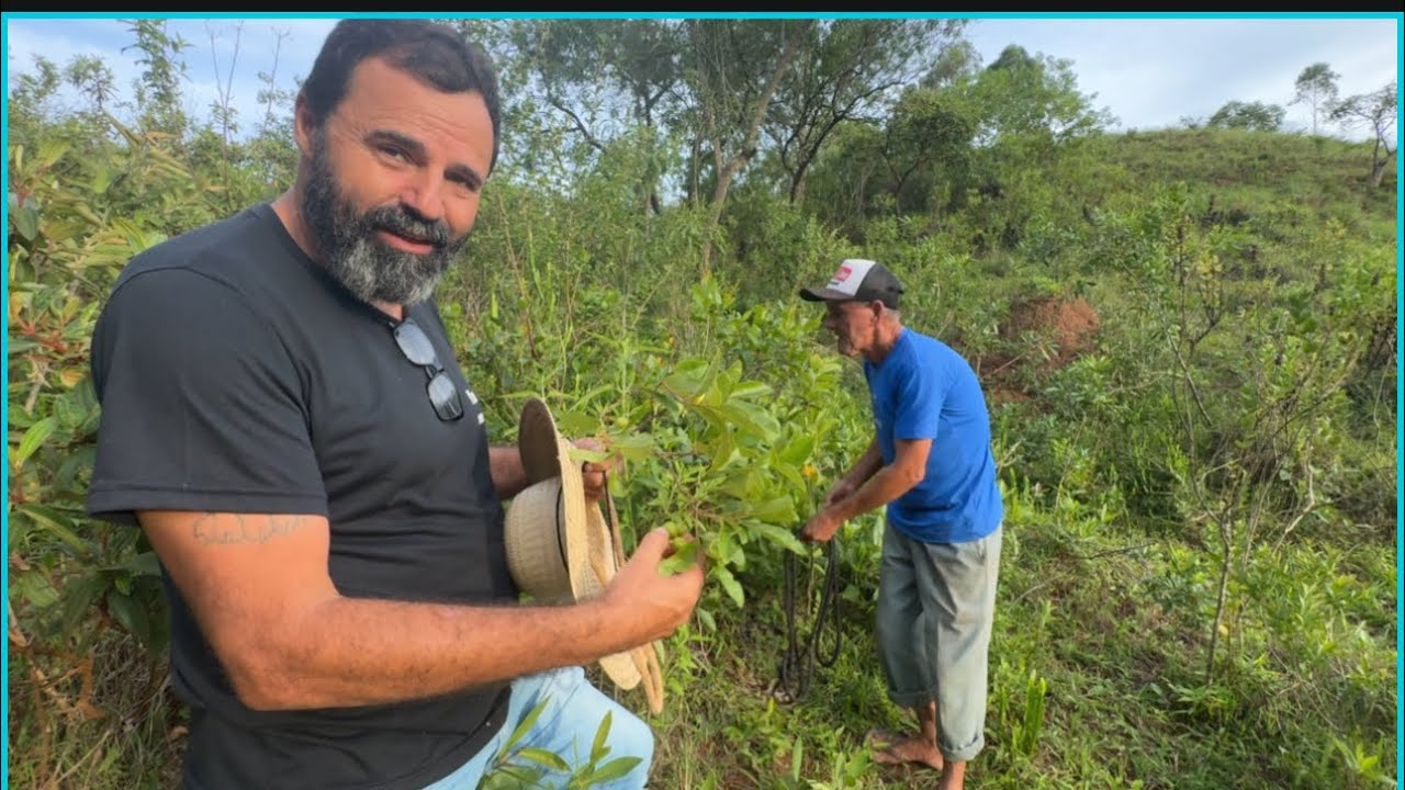 PEGAMOS GABIROBA NO PASTO
