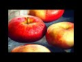 Bobbing For Apples - Regina Spektor