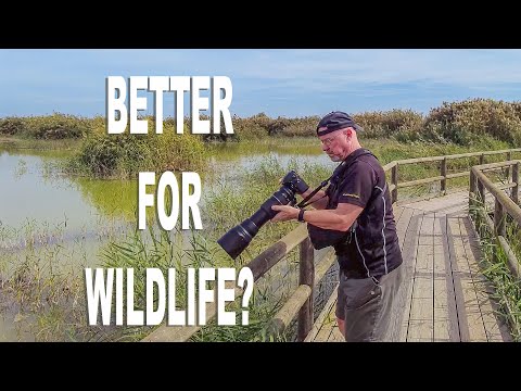 IS THIS A BETTER SET UP FOR WILDLIFE PHOTOGRAPHY