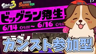 伝説720～ビッグランをみんなで遊びながらカンストするかぁ🐶🌟負け犬系Vtuber配信【スプラトゥーン3】【サーモンランNW】