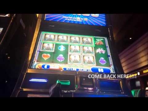 Jungle Wild 3 - 3 Bonus Rounds - WMS - All Good Ones I'd Say