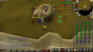 Barbarian Assault | Collector Guide