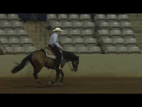 170520 Terry Satchell on Gotta Get Er Done Rookie