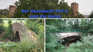 Der Ossabach Teil 2 und die Katze