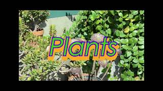 Animals/Plants: OfficialTrailer