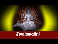 Sri Jwalamalini Devi | NR Pura, | Karanataka