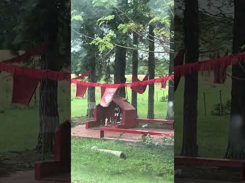 Peregrinación #rn12 #corrientes #virgendeitati #peregrinos #peregrinación #abril2026 #pasodelapatria