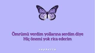 tan taşçı-rica ederim (lyrics)