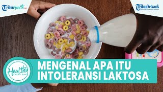 Mengenal Intoleransi Laktosa, Penyebab Perut Kembung Setelah Konsumsi Susu yang Belum Kamu Tahu