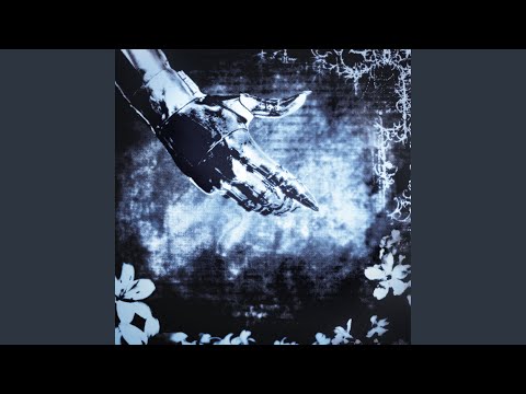 fallen777angel - гладиатор/рыцарь on Spotify Charts