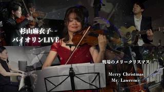 【ライブ演奏】戦場のメリークリスマス|Merry Christmas, Mr. Lawrence|バイオリン演奏|杉山麻衣子