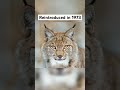 Animals That Went Extinct Then Came Back