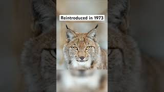Animals That went extinct then Came back