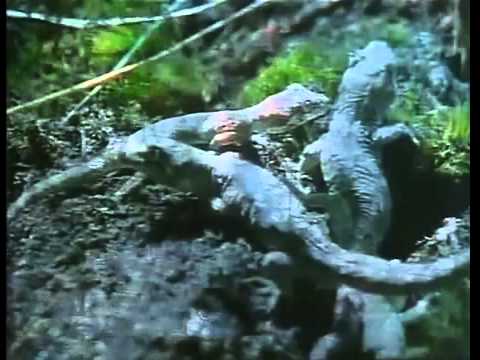 The Ray Bradbury Theater - S04E06 - A Sound Of Thunder (Aired 8-11-89)