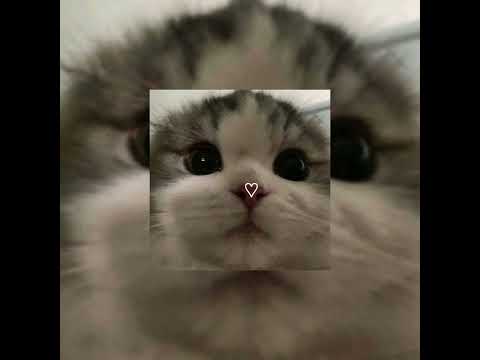 Like My Father - Jax | Sped Up