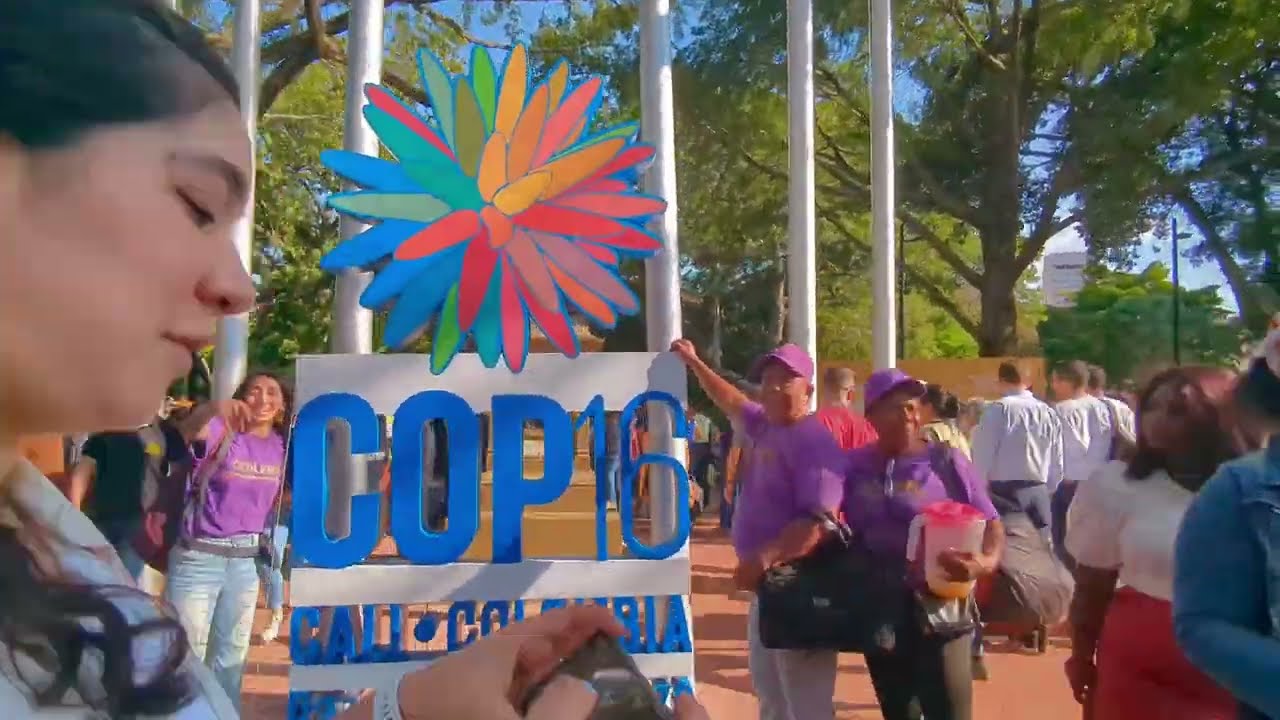 DFCD and WWF INVEST at COP 16 - Impulsemos Juntos