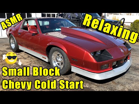 Small Block Chevy Cold Start: ASMR Sounds of an Iconic Engine Roaring to Life - ASMR