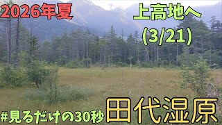 上高地散策2026.8.13（3/21） 朝6時の田代湿原