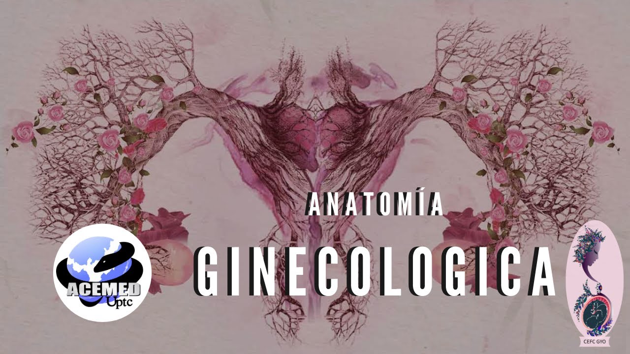 ANATOMÍA GINECOLÓGICA -ACEMED UPTC