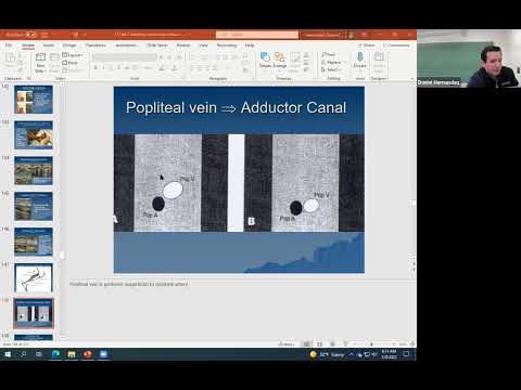 Vein Mapping and Reflux