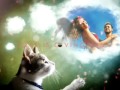 Игорь Лантратов и Вероника Истомина 