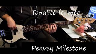 Video thumbnail for Test Peavey Milestone by Tom Bassman
