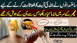 Why Allah Created Mosquitoes? | The Hidden Miracle of the Quran | Haqeeqat Jano