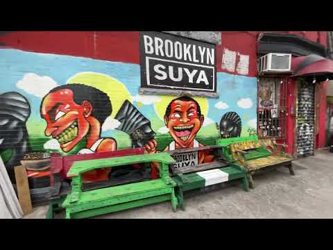 Roaming Franklin Ave and Eastern Pkwy 