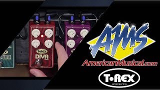 Video thumbnail for T-Rex Diva Drive Demo - American Musical Supply by American Musical Supply