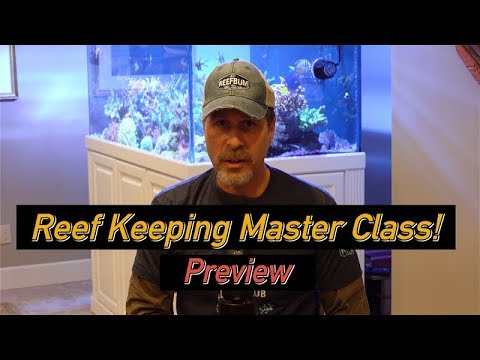 Reef Keeping Master Class - Preview