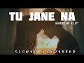 Tu Jane Na Atif Aslam Slowed X Reverbed Harrlin Flip