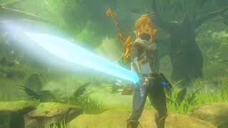 Switch2エディションでブレワイを最初からプレイ  #9　【ゼルダの伝説 ブレスオブザワイルド】＃ゼルダの伝説