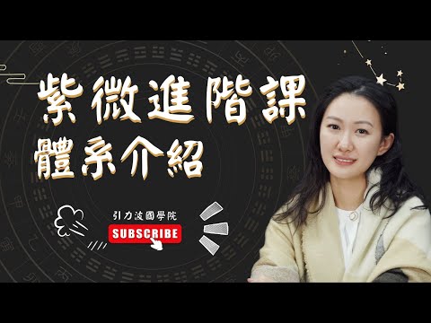 飛星派