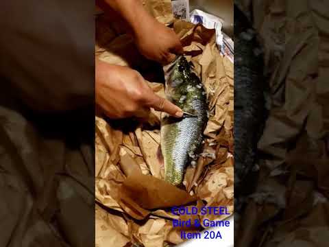 Cold Steel Bird and Game Neck Knife