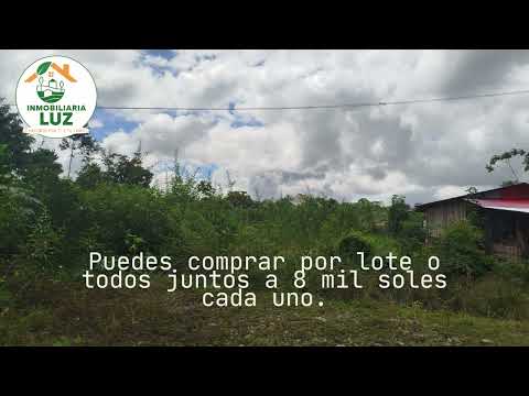 lotes en Aguaytia - Padre Abad