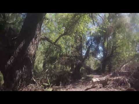 Mtb La Florida San Luis