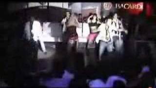 SIGLA QIMANJI ESTATE 2008