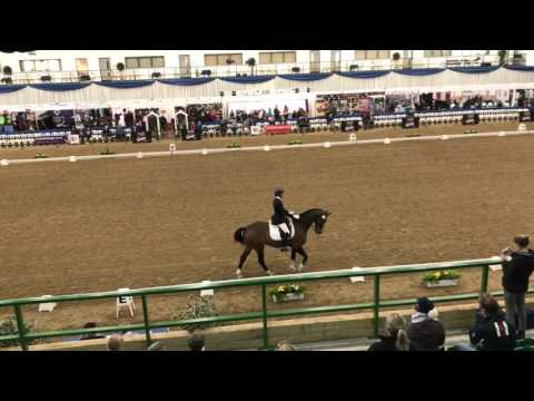 British Dressage Winter Championships Advanced Medium Freestyle Hartpury 2017