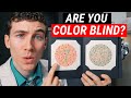 The Ishihara Color Blind Test (Are You Colorblind?)