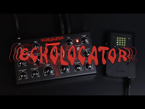 Erica Synths Echolator