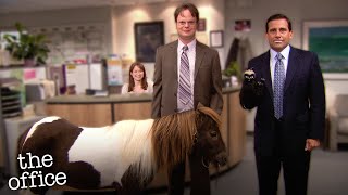 The Office but literally no one is doing any work - The Office US
